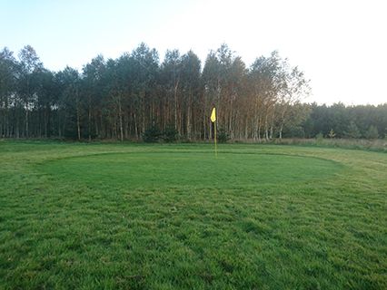 Green z chorągiewką - pole golfowe pitch & putt - świętokrzyskie