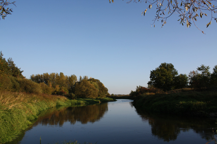 Rzeka - Czarna Nida